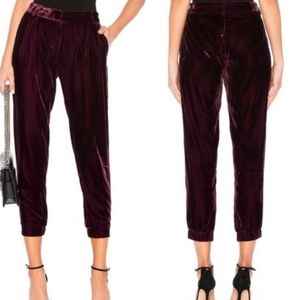 PARKER Burgundy Velvet Morgan Pants - 14